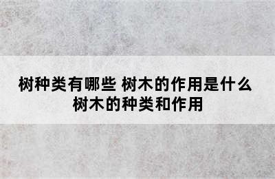 树种类有哪些 树木的作用是什么 树木的种类和作用